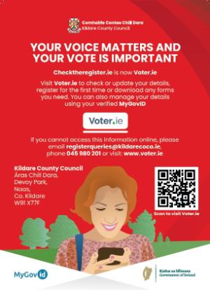 voter.ie small image